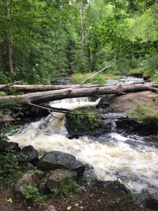 soile lemola koulutettu hieroja liminka
